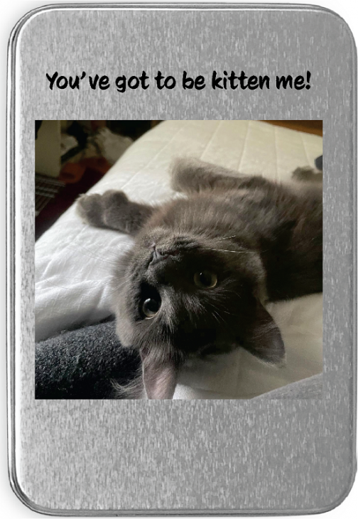 Custom Kitten Card Case main image